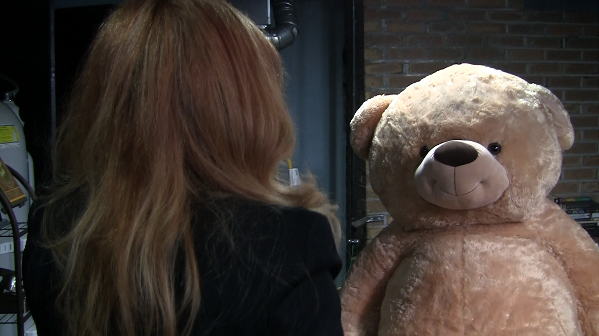 Librarian_ReturnBearsCh1 (9)